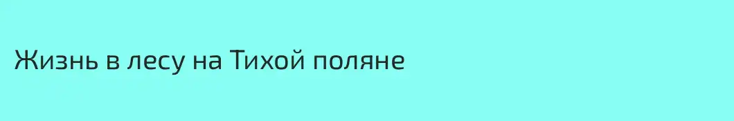 Жизнь в лесу на Тихой поляне